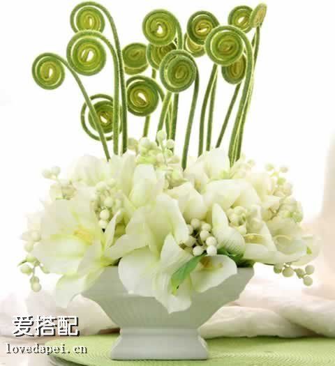 清新盆栽给你一天好心情