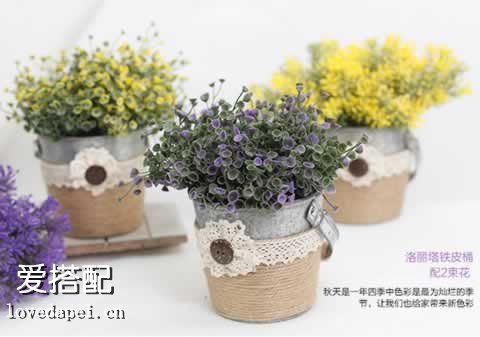 清新盆栽给你一天好心情