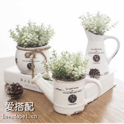 清新盆栽给你一天好心情